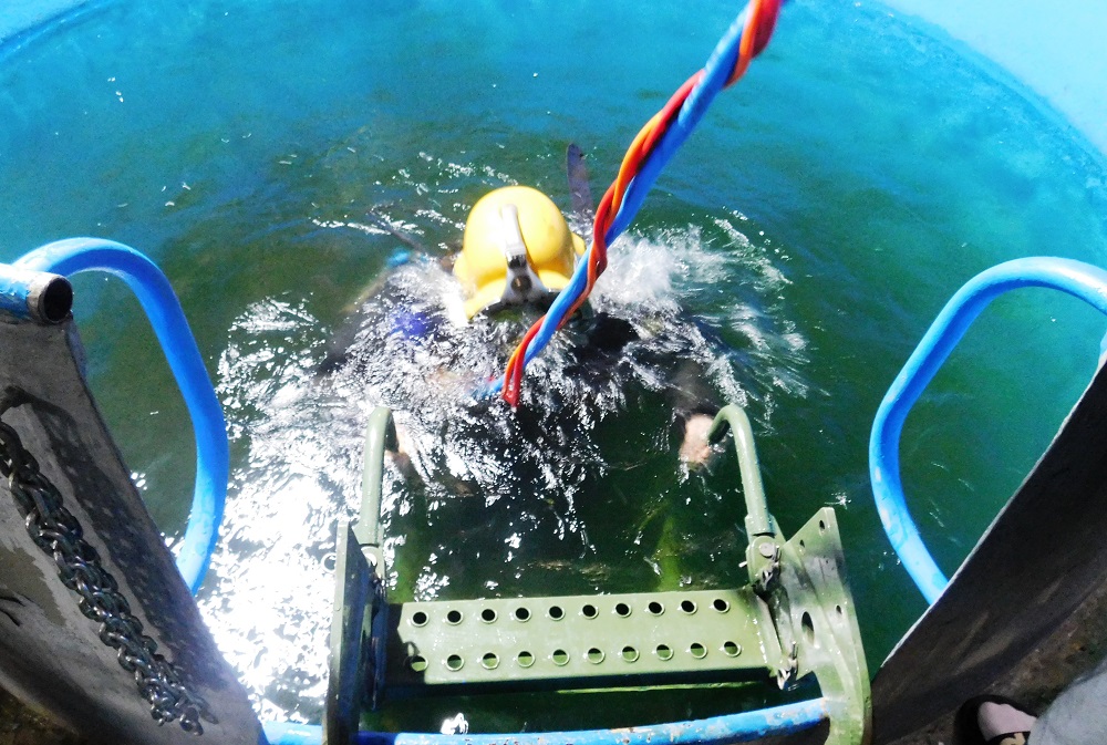 В Морской школе ДОСААФ России Волгоградской области приступили к обучению курсантов по ВУС-172 «Специалист водолазных работ (кроме Военно-морского флота)